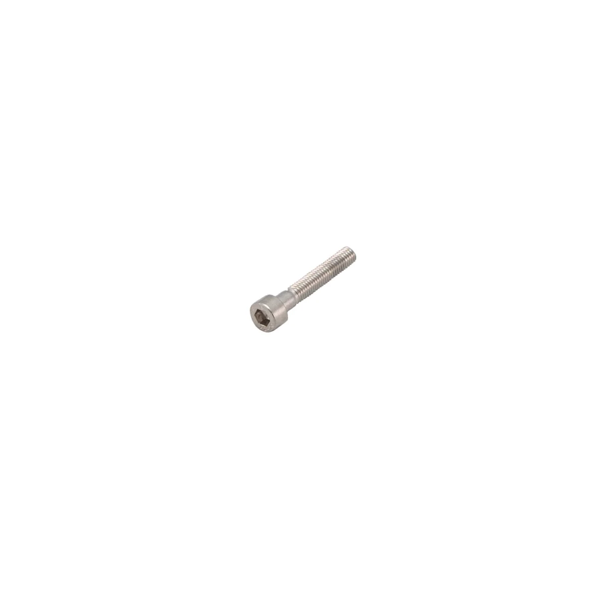 Rancilio 00000935 Hex Socket Head Screw M5 X 30 Mm | Fits Egro Next