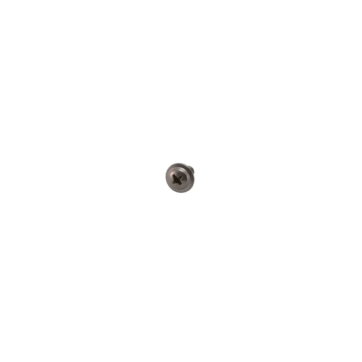 Rancilio 00046844 Screw M4 X 8 Mm | Fits Egro Next